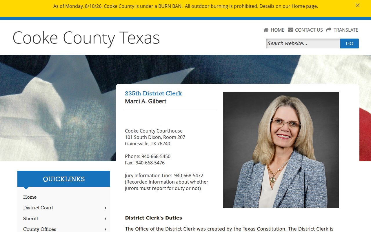 Cooke County criminal docket records on the District Clerk page